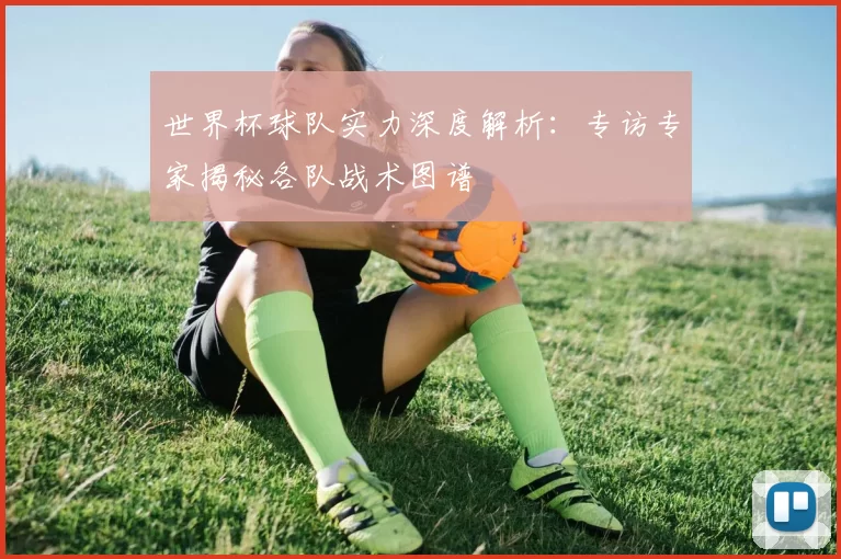 世界杯球队实力深度解析:专访专家揭秘各队战术图谱