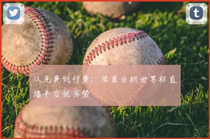 从免费到付费:深度分析世界杯直播平台优劣势