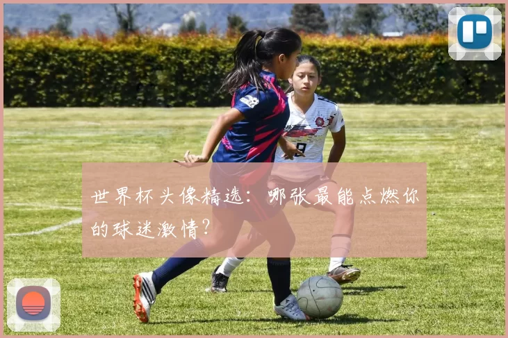 世界杯头像精选:哪张最能点燃你的球迷激情?