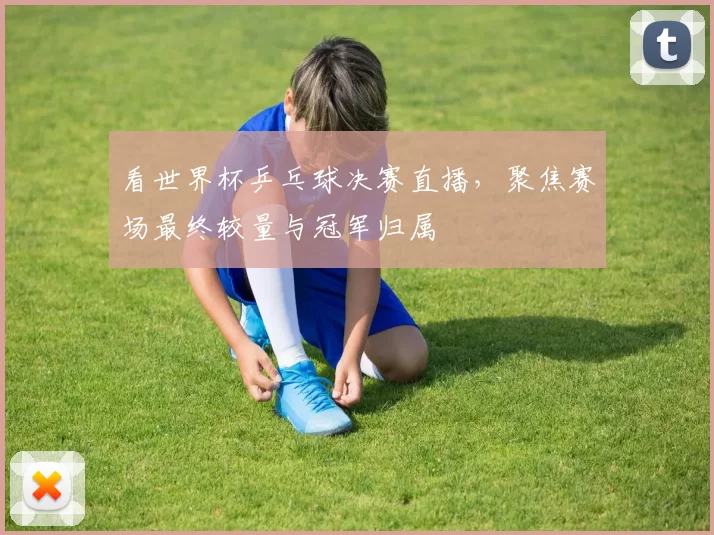 看世界杯乒乓球决赛直播，聚焦赛场最终较量与冠军归属