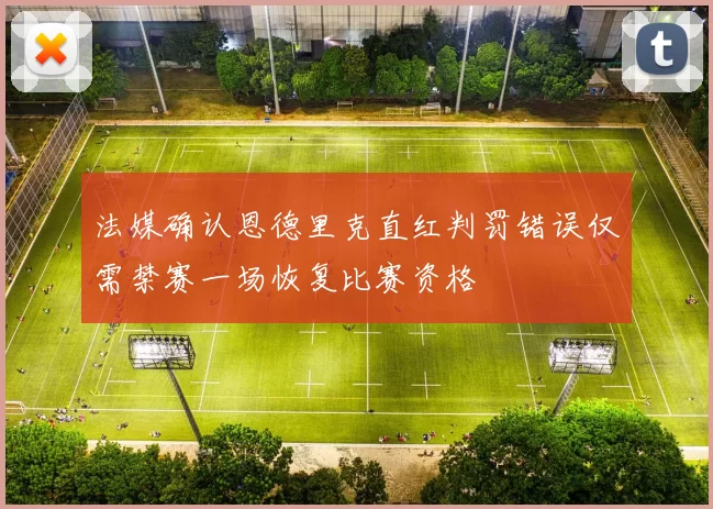 法媒确认恩德里克直红判罚错误仅需禁赛一场恢复比赛资格
