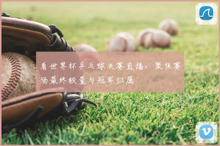看世界杯乒乓球决赛直播，聚焦赛场最终较量与冠军归属