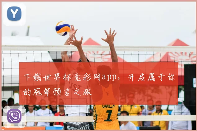 下载世界杯竞彩网app，开启属于你的冠军预言之旅