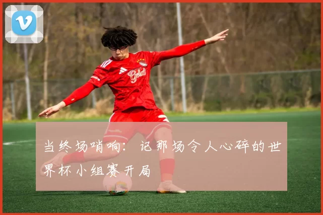 当终场哨响：记那场令人心碎的世界杯小组赛开局
