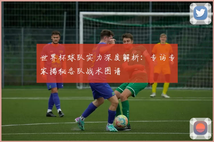 世界杯球队实力深度解析:专访专家揭秘各队战术图谱